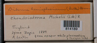Image Associated With the Occurrence